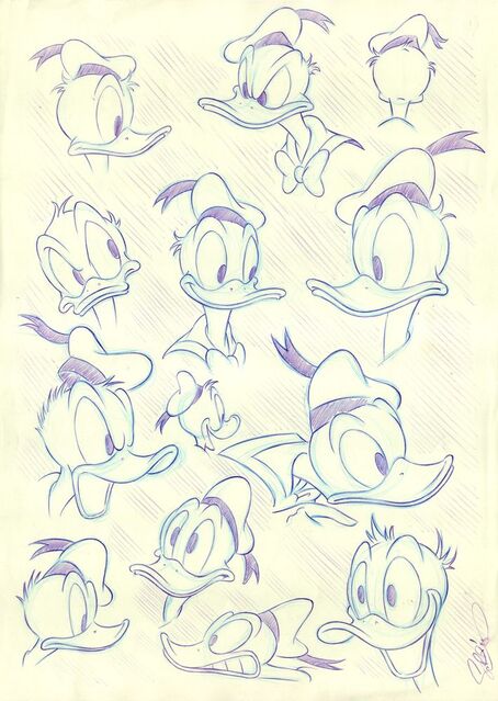 Donald Duck: Model Sheet